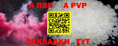 спиды Гусев