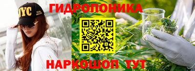 твердый Гусь-Хрустальный